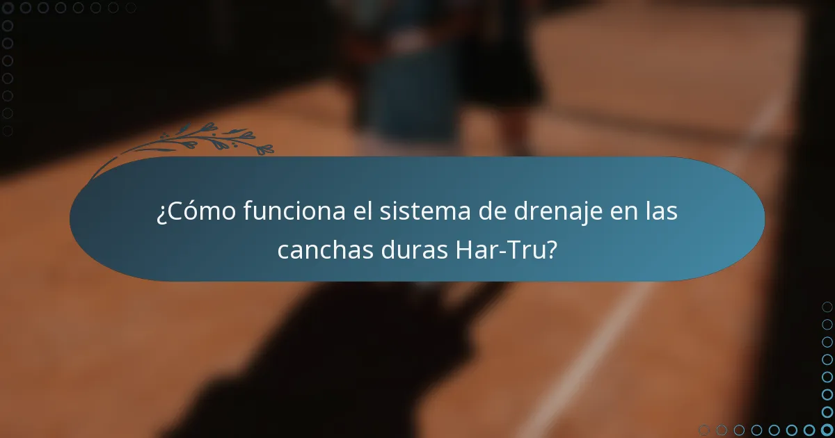¿Cómo funciona el sistema de drenaje en las canchas duras Har-Tru?