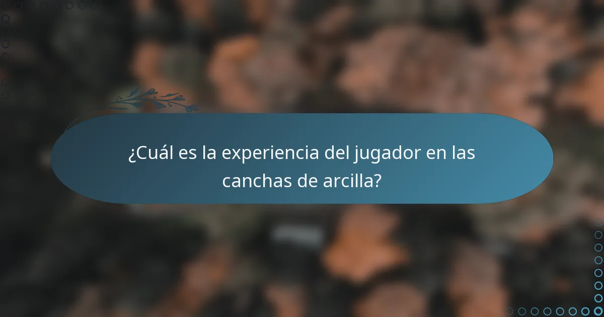 ¿Cuál es la experiencia del jugador en las canchas de arcilla?