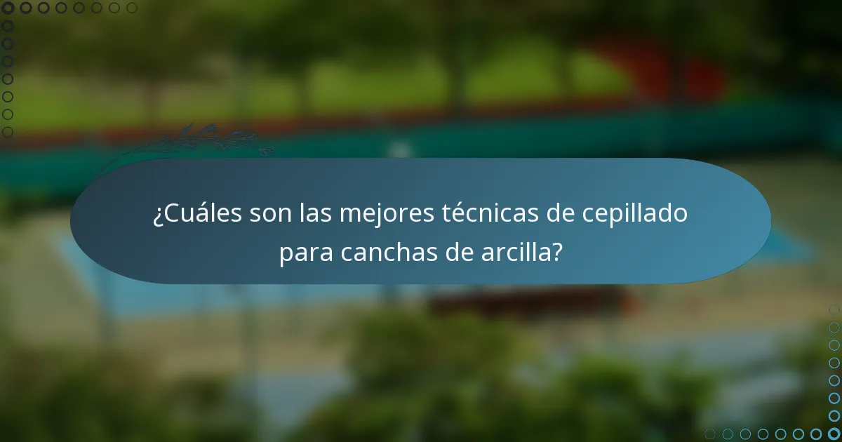 ¿Cuáles son las mejores técnicas de cepillado para canchas de arcilla?