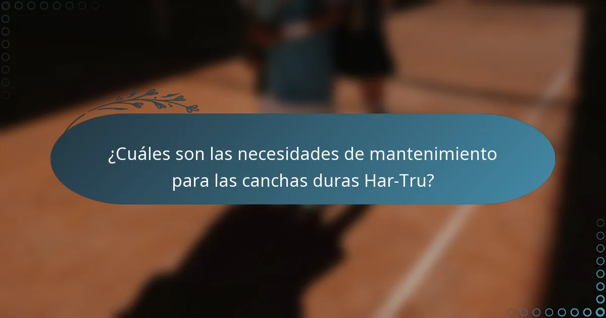 ¿Cuáles son las necesidades de mantenimiento para las canchas duras Har-Tru?