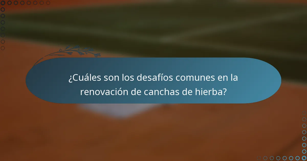 ¿Cuáles son los desafíos comunes en la renovación de canchas de hierba?