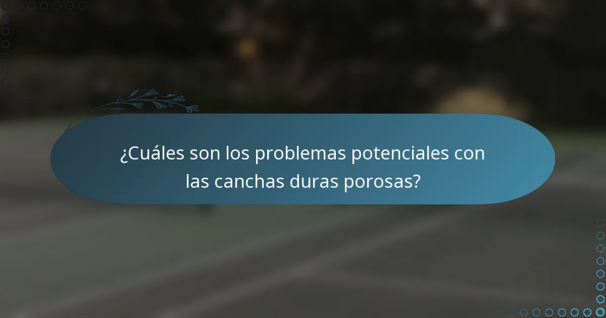 ¿Cuáles son los problemas potenciales con las canchas duras porosas?