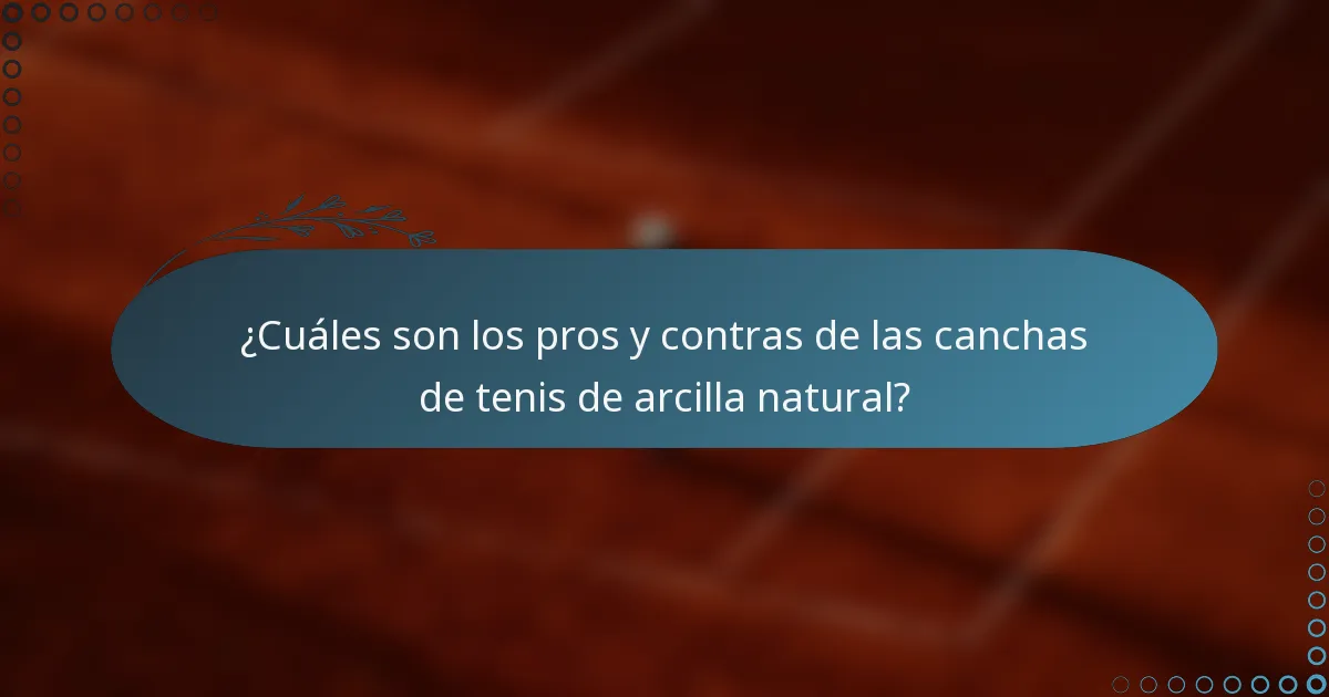 ¿Cuáles son los pros y contras de las canchas de tenis de arcilla natural?