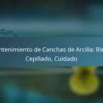 featured-image-mantenimiento-de-canchas-de-arcilla-riego-cepillado-cuidado